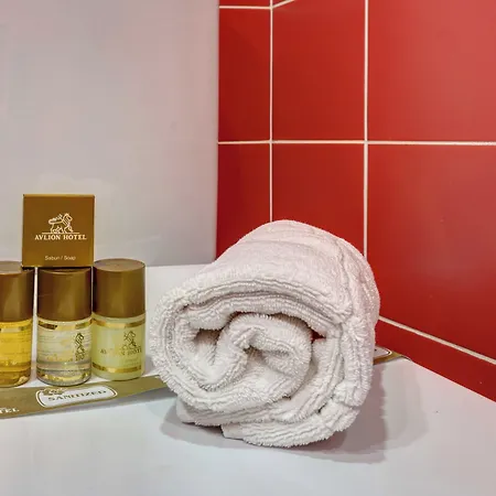 Avlion Boutique Hotell 2*