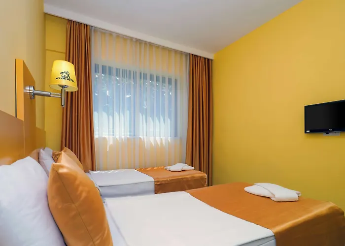 Готель Avlion Boutique 2*